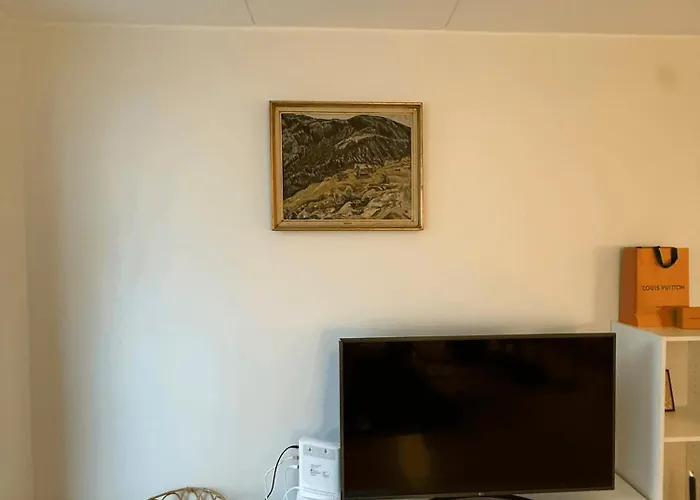 Idyllic In Apartamento Oslo